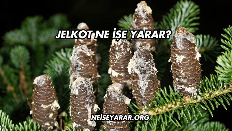 Jelkot Ne İşe Yarar?