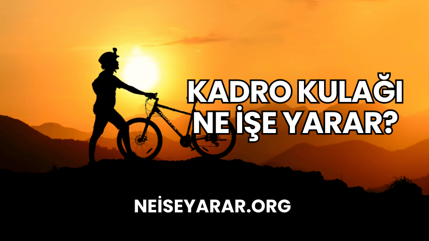 Kadro Kulağı Ne İşe Yarar?