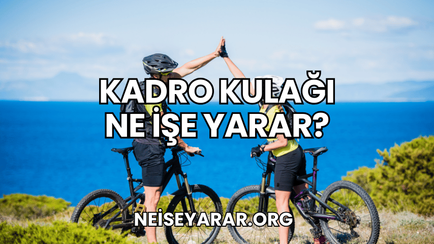 Kadro Kulağı Ne İşe Yarar?