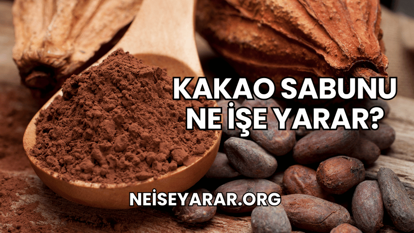 Kakao Sabunu Ne İşe Yarar?