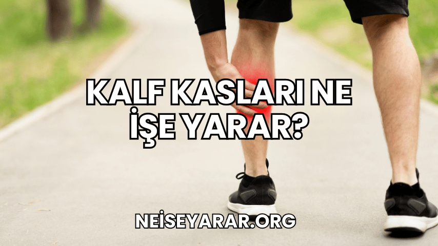 Kalf Kasları Ne İşe Yarar?