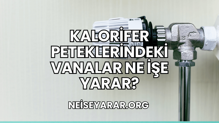 Kalorifer Peteklerindeki Vanalar Ne İşe Yarar?