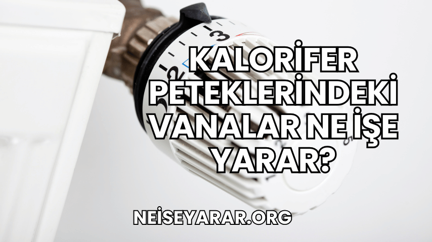 Kalorifer Peteklerindeki Vanalar Ne İşe Yarar?