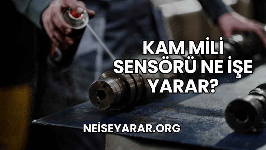 Kam Mili Sensörü Ne İşe Yarar?