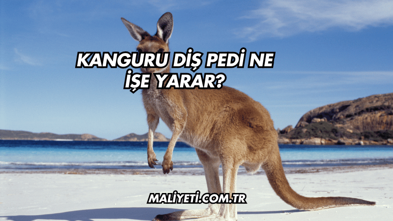 Kanguru Diş Pedi Ne İşe Yarar?