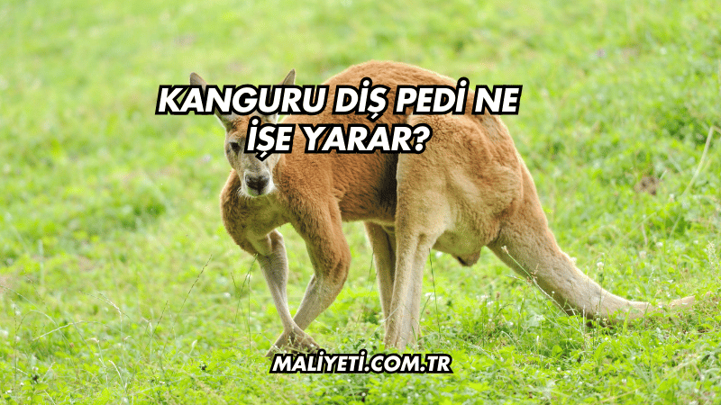 Kanguru Diş Pedi Ne İşe Yarar?