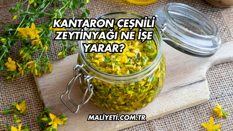 Kantaron Çeşnili Zeytinyağı Ne İşe Yarar?