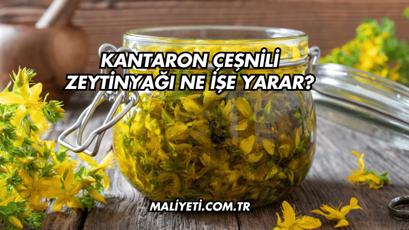 Kantaron Çeşnili Zeytinyağı Ne İşe Yarar?