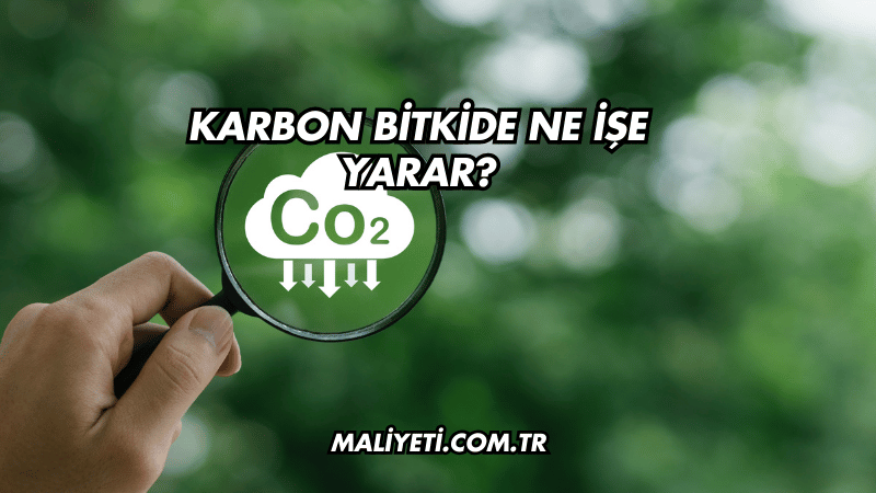 Karbon Bitkide Ne İşe Yarar?