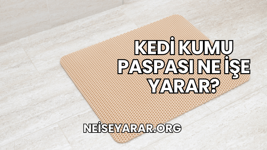 Kedi Kumu Paspası Ne İşe Yarar?