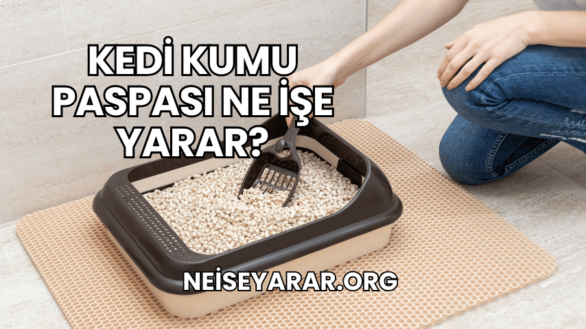 Kedi Kumu Paspası Ne İşe Yarar?