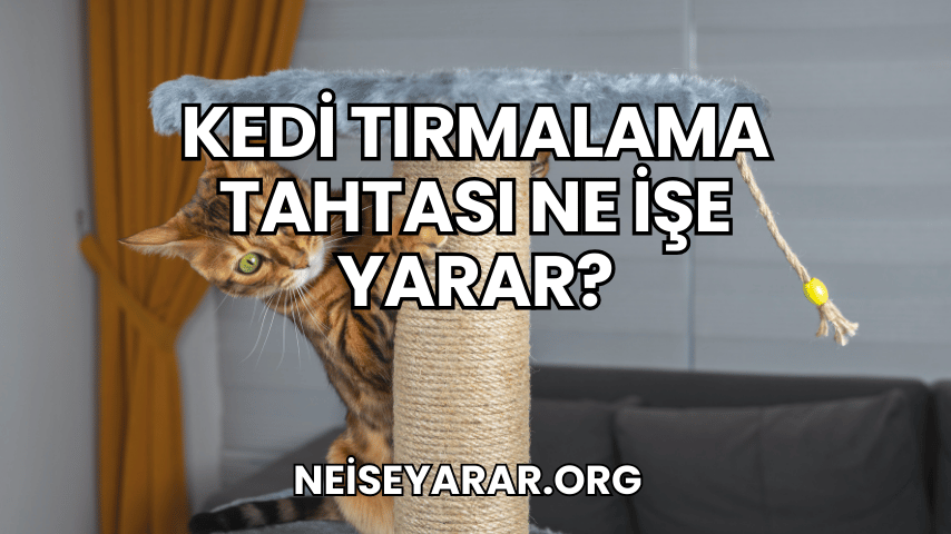 Kedi Tırmalama Tahtası Ne İşe Yarar?