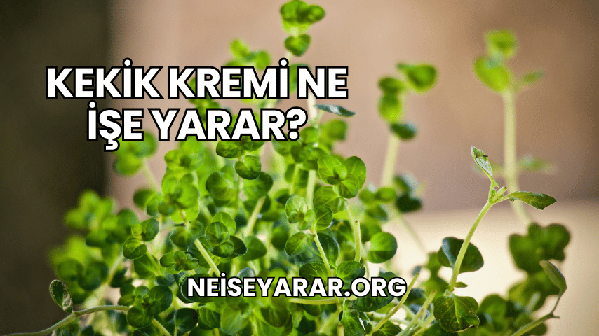 Kekik Kremi Ne İşe Yarar?