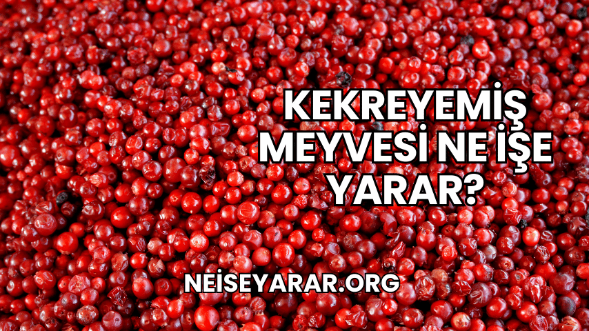 Kekreyemiş Meyvesi Ne İşe Yarar?