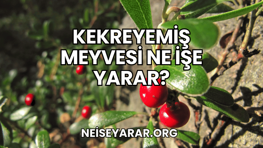 Kekreyemiş Meyvesi Ne İşe Yarar?