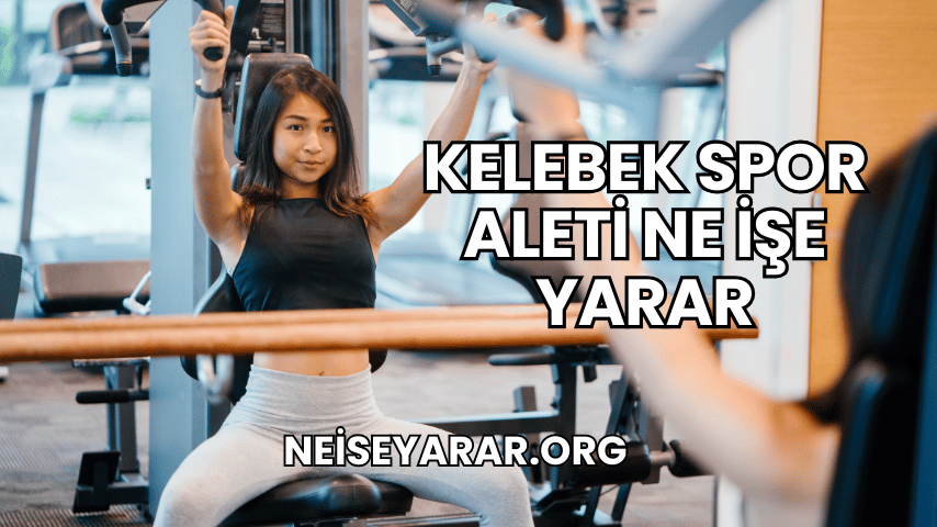 Kelebek Spor Aleti Ne İşe Yarar