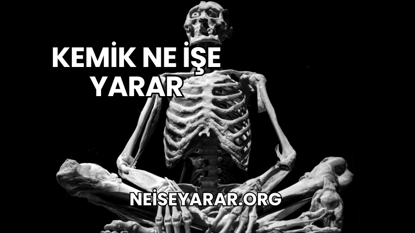 Kemik Ne İşe Yarar