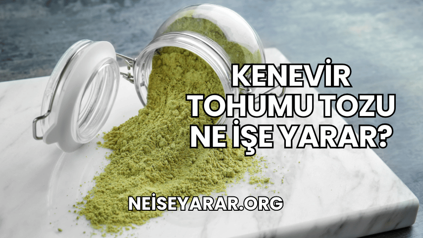 Kenevir Tohumu Tozu Ne İşe Yarar?