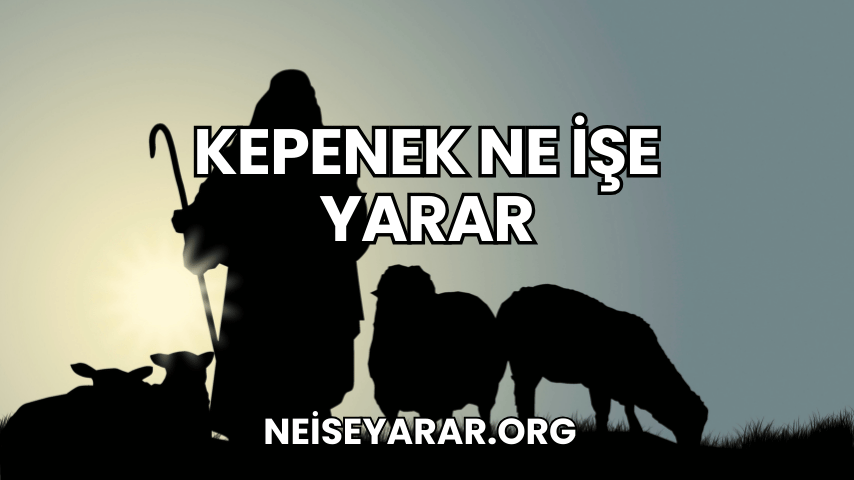 Kepenek Ne İşe Yarar