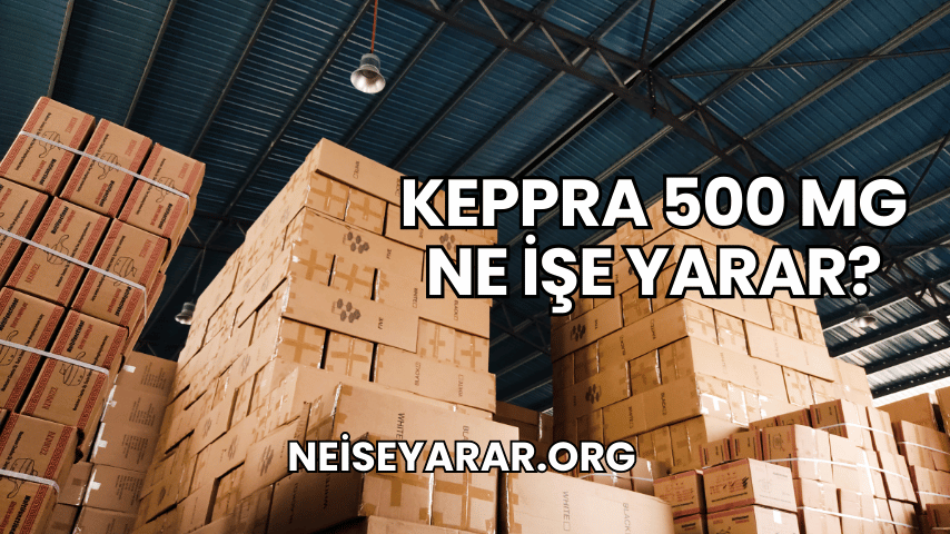 Keppra 500 Mg Ne İşe Yarar?