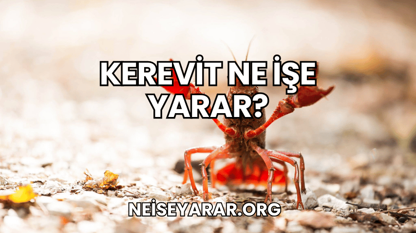 Kerevit Ne İşe Yarar?