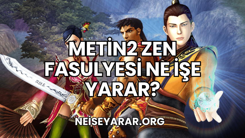 Metin2 Zen Fasulyesi Ne İşe Yarar?