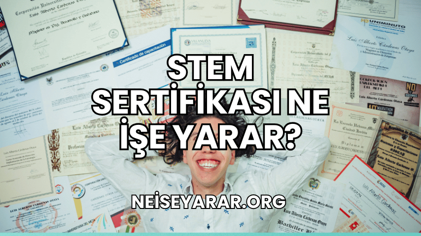 STEM Sertifikası Ne İşe Yarar?