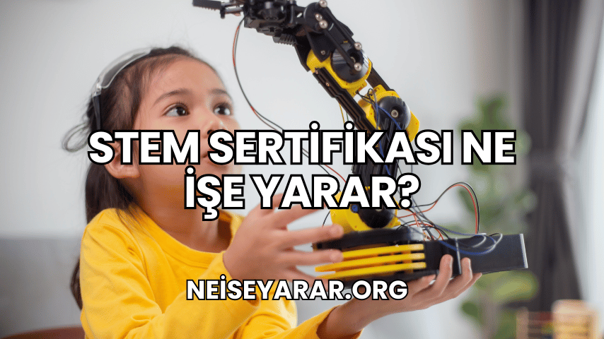 STEM Sertifikası Ne İşe Yarar?