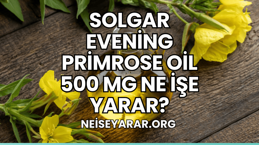 Solgar Evening Primrose Oil 500 mg Ne İşe Yarar?