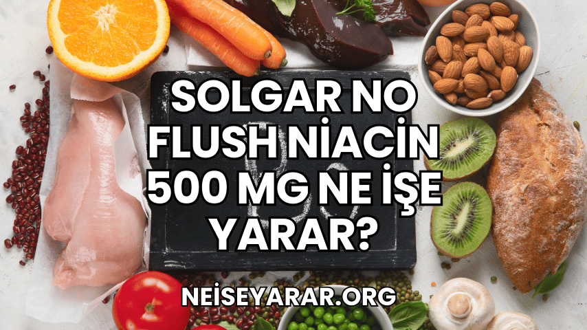 Solgar No Flush Niacin 500 mg Ne İşe Yarar?