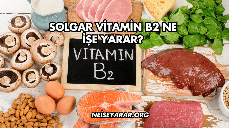 Solgar Vitamin B2 Ne İşe Yarar?