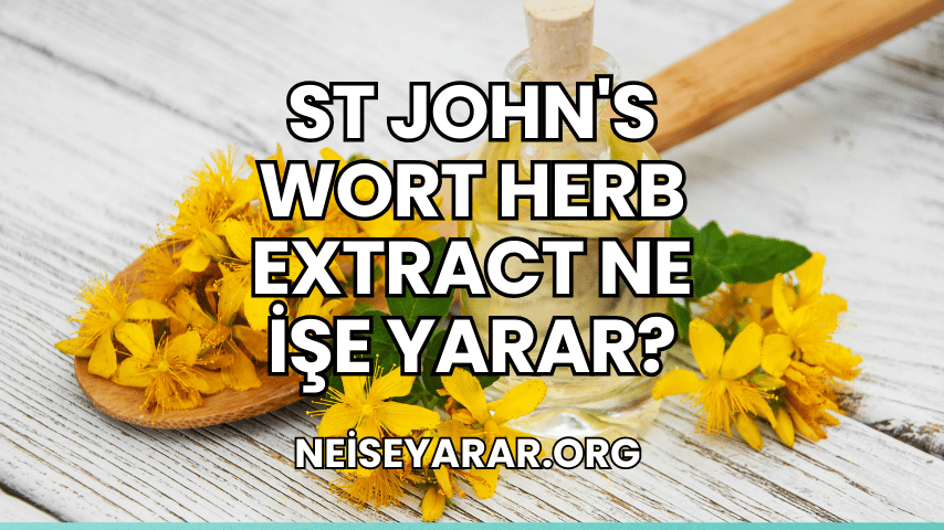 St John's Wort Herb Extract Ne İşe Yarar?