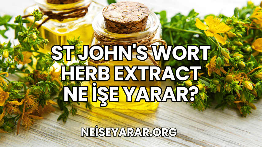 St John's Wort Herb Extract Ne İşe Yarar?