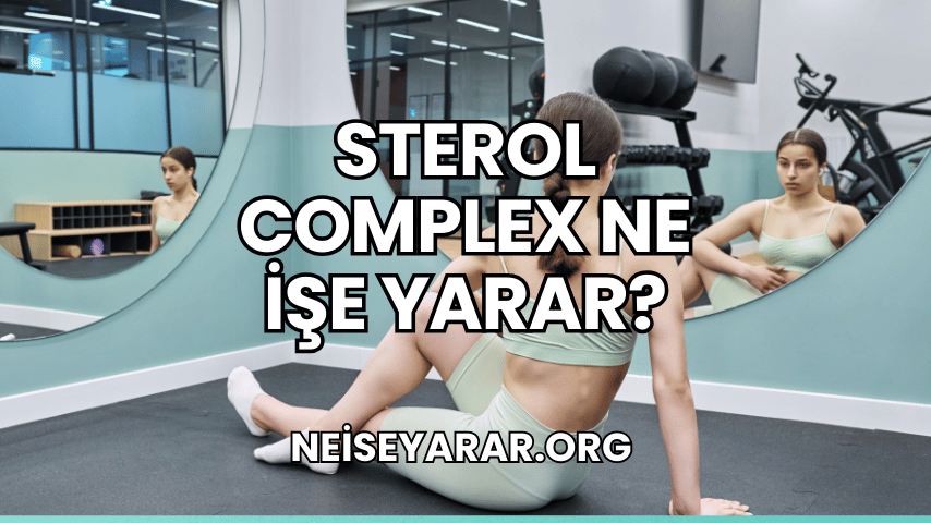 Sterol Complex Ne İşe Yarar?