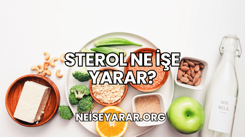 Sterol Ne İşe Yarar?