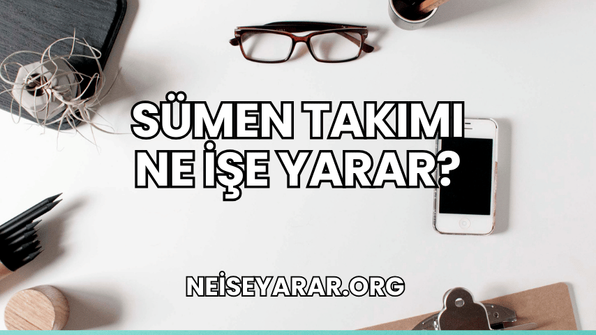 Sümen Takımı Ne İşe Yarar?